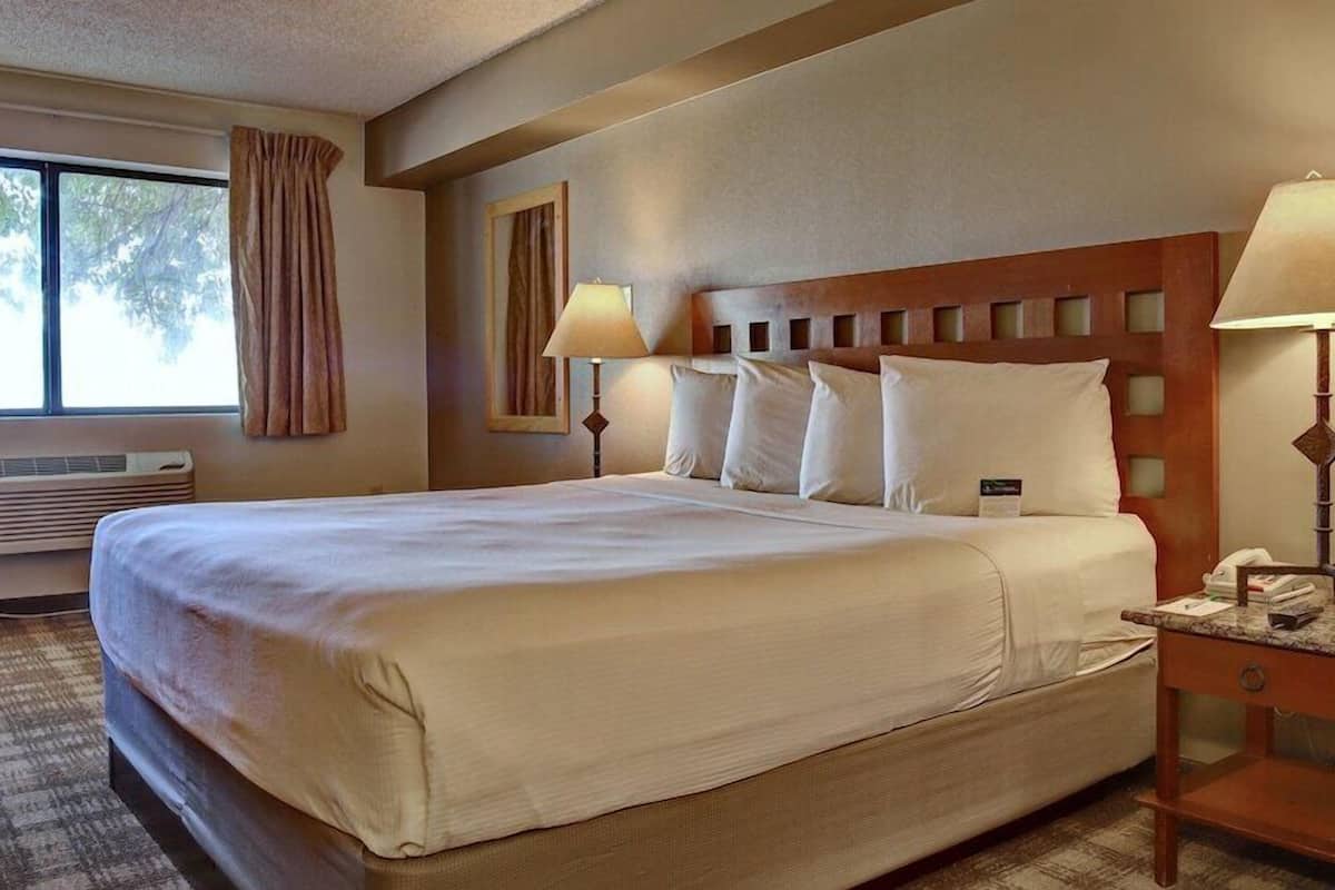 A hotel room with a large bed, two bedside lamps, a nightstand, and a window with curtains.