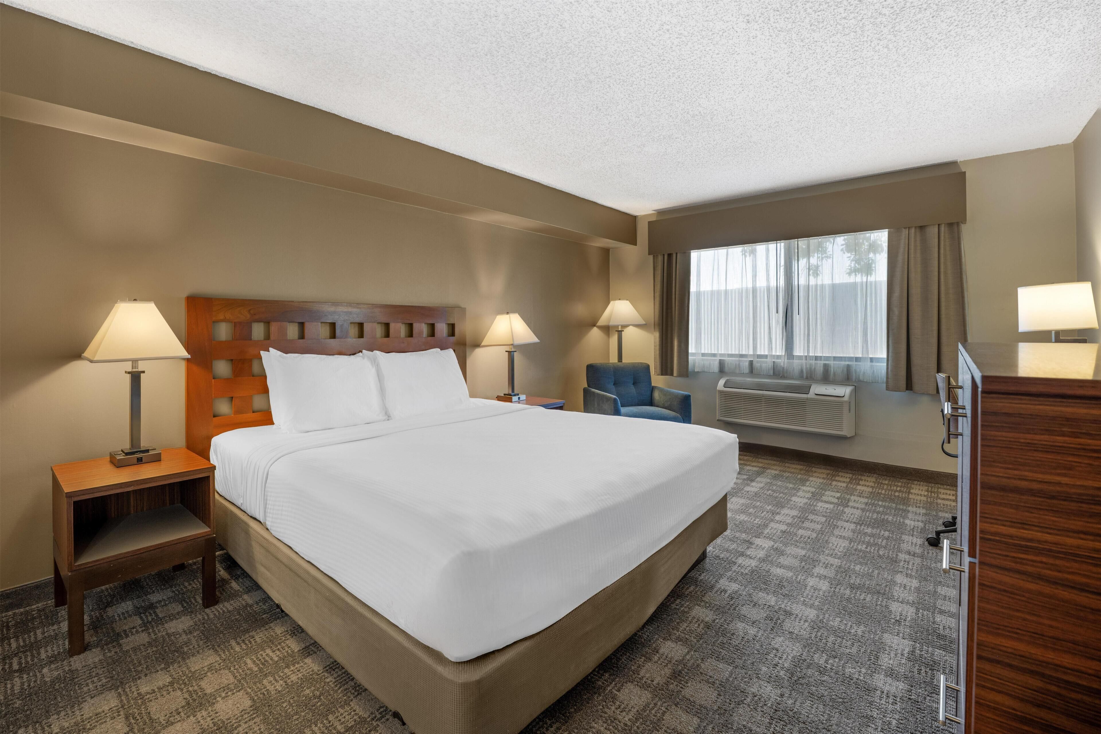 Standard Room, 1 King Bed, Non Smoking | Desk, laptop workspace, blackout drapes, iron/ironing board