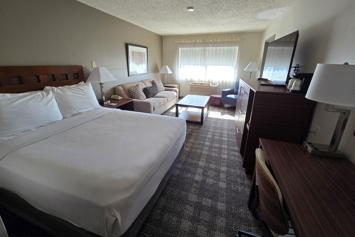 A hotel room with a large bed, a sofa, a desk, a TV, and a window with curtains.
