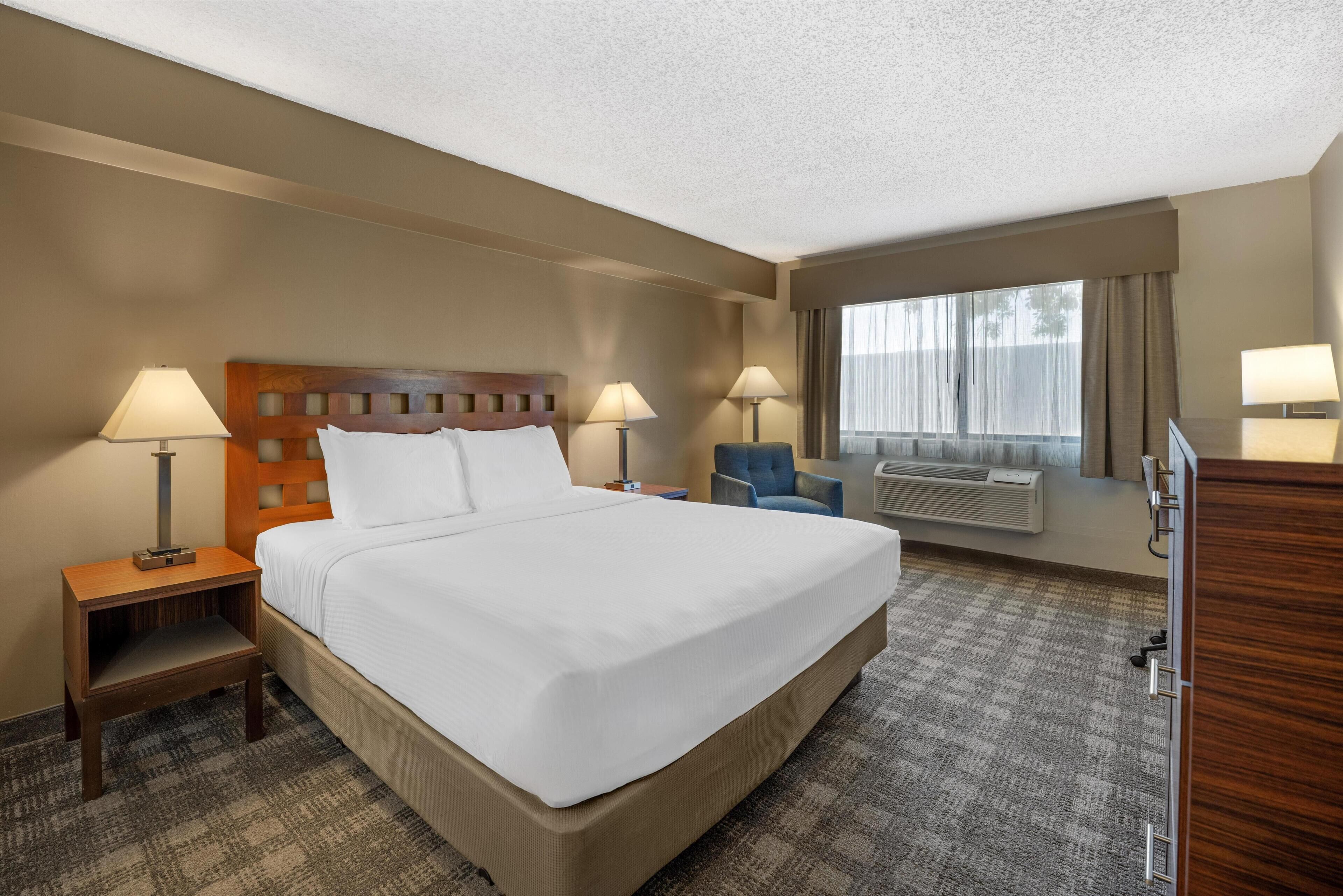 Standard Room, 1 King Bed, Non Smoking | Desk, laptop workspace, blackout drapes, iron/ironing board