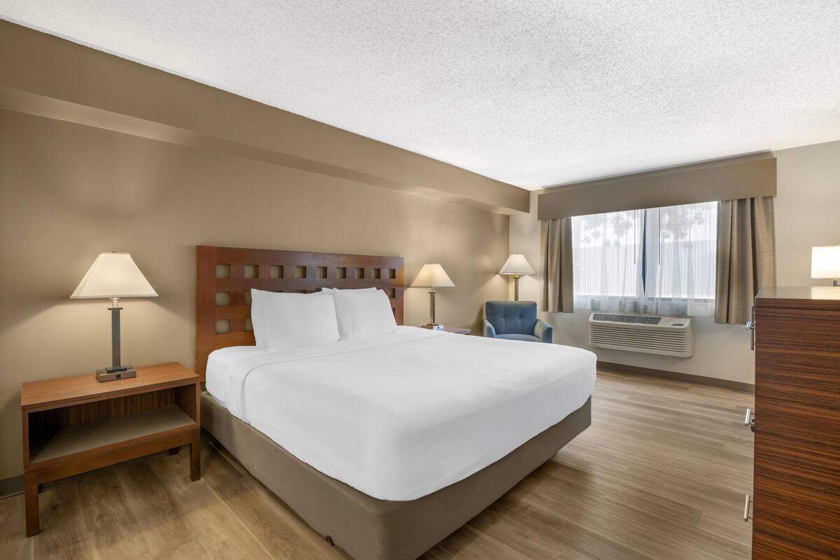 Standardzimmer, 1 King-Bett, Nichtraucher (Pet Friendly)