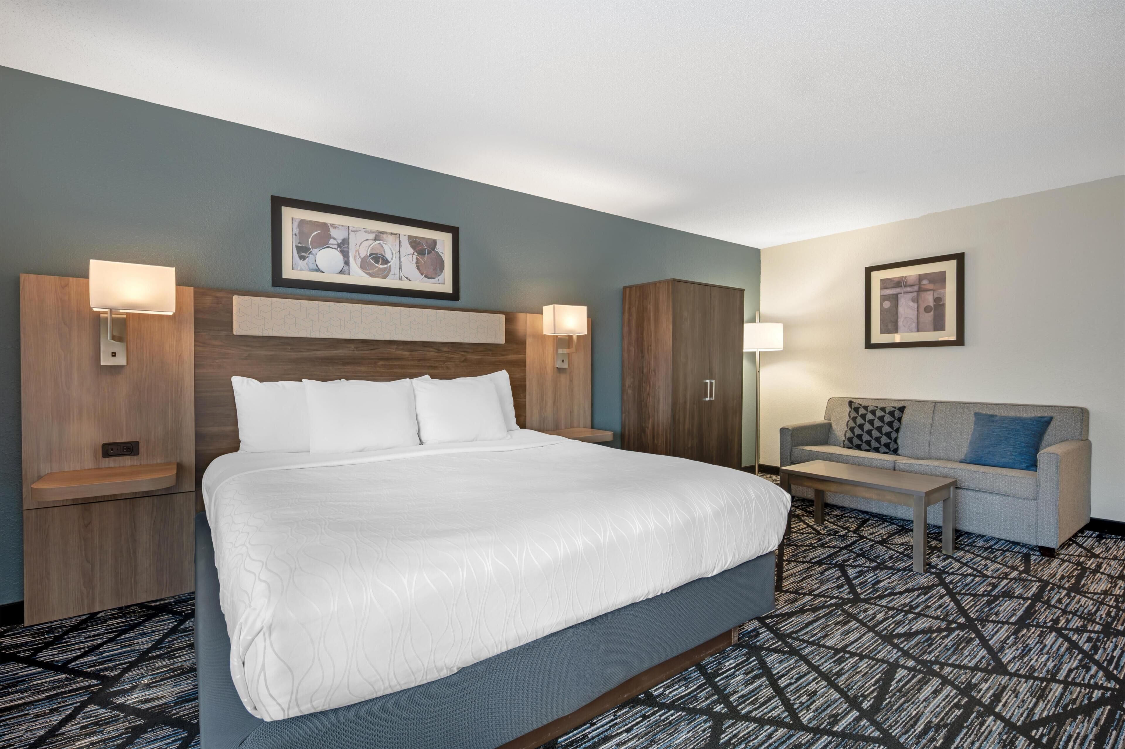 Standard Room, 1 King Bed, Accessible, Non Smoking (Walk-in Shower;with Sofabed) | Desk, blackout drapes, soundproofing, iron/ironing board