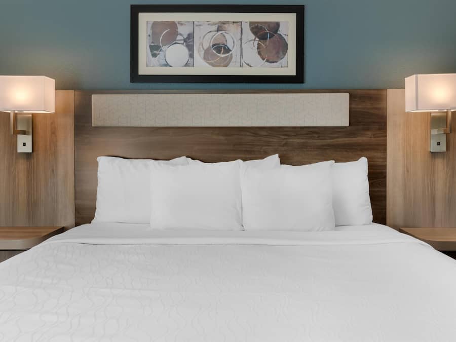 Standard Room, 1 King Bed, Non Smoking, Refrigerator & Microwave (with Sofabed)