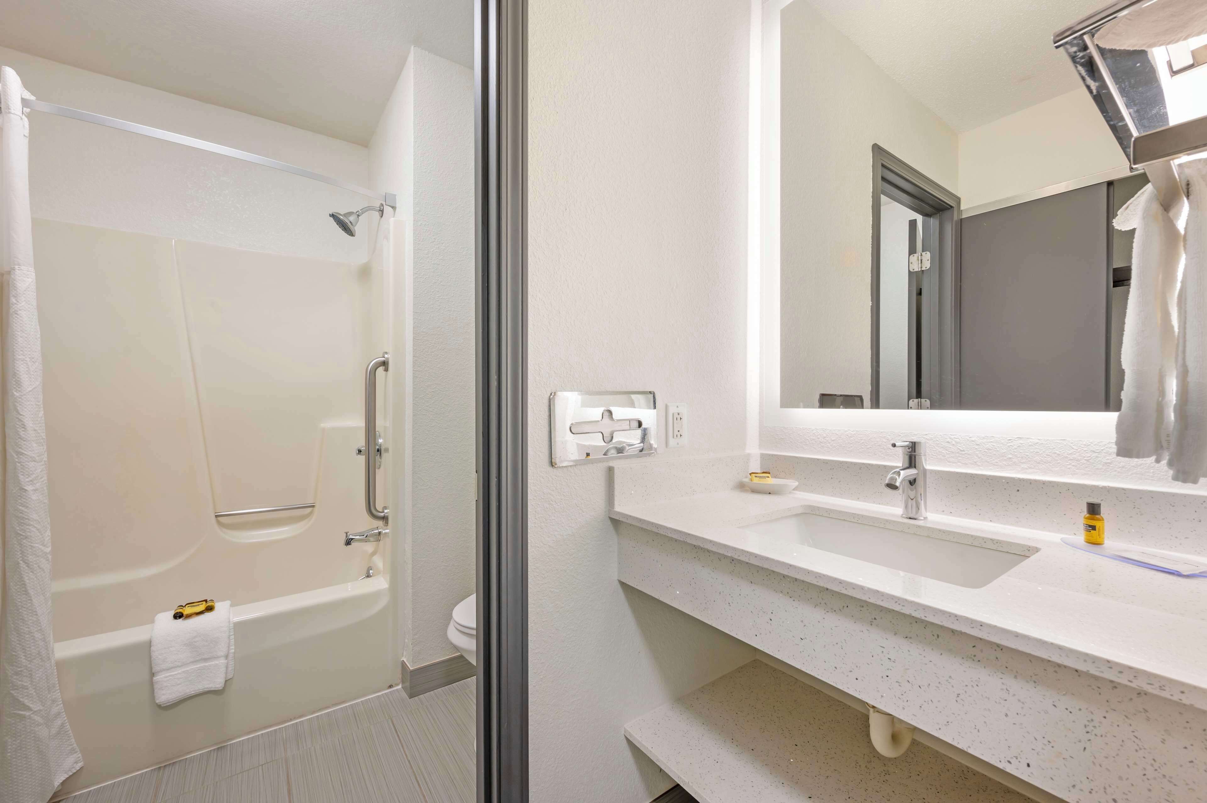 standard room, 1 king bed, accessible, bathtub (with sofabed) | bathroom | combined shower/bathtub, free toiletries, hair dryer, towels