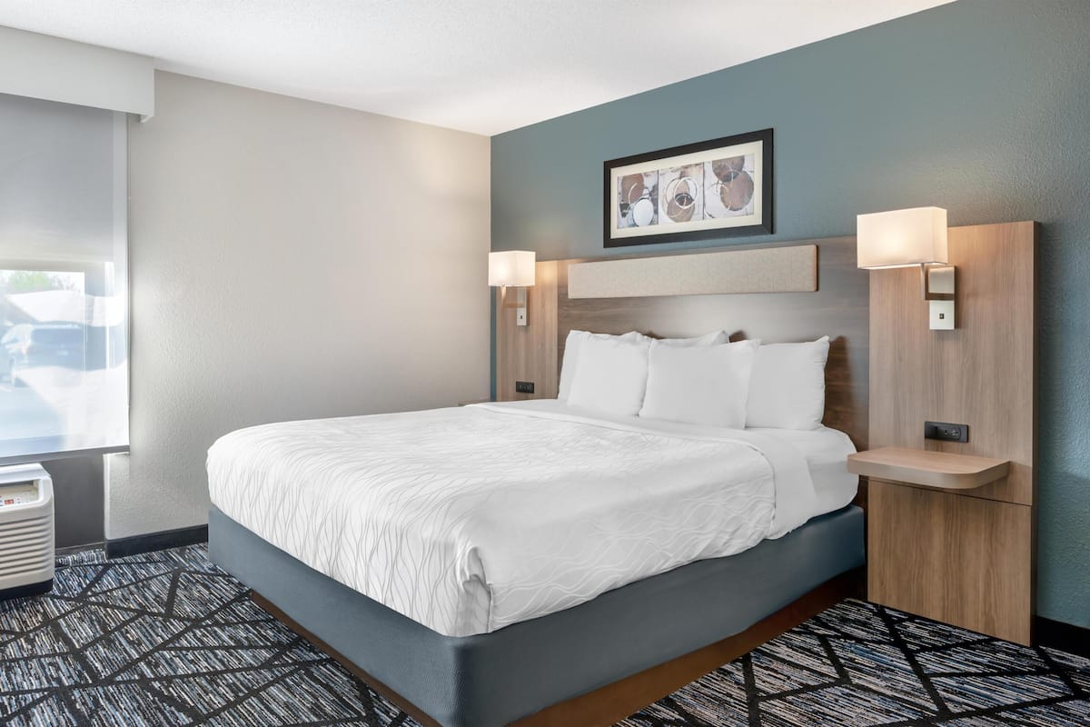 Standard Room, 1 King Bed, Accessible, Bathtub (with Sofabed) | Desk, blackout drapes, soundproofing, iron/ironing board