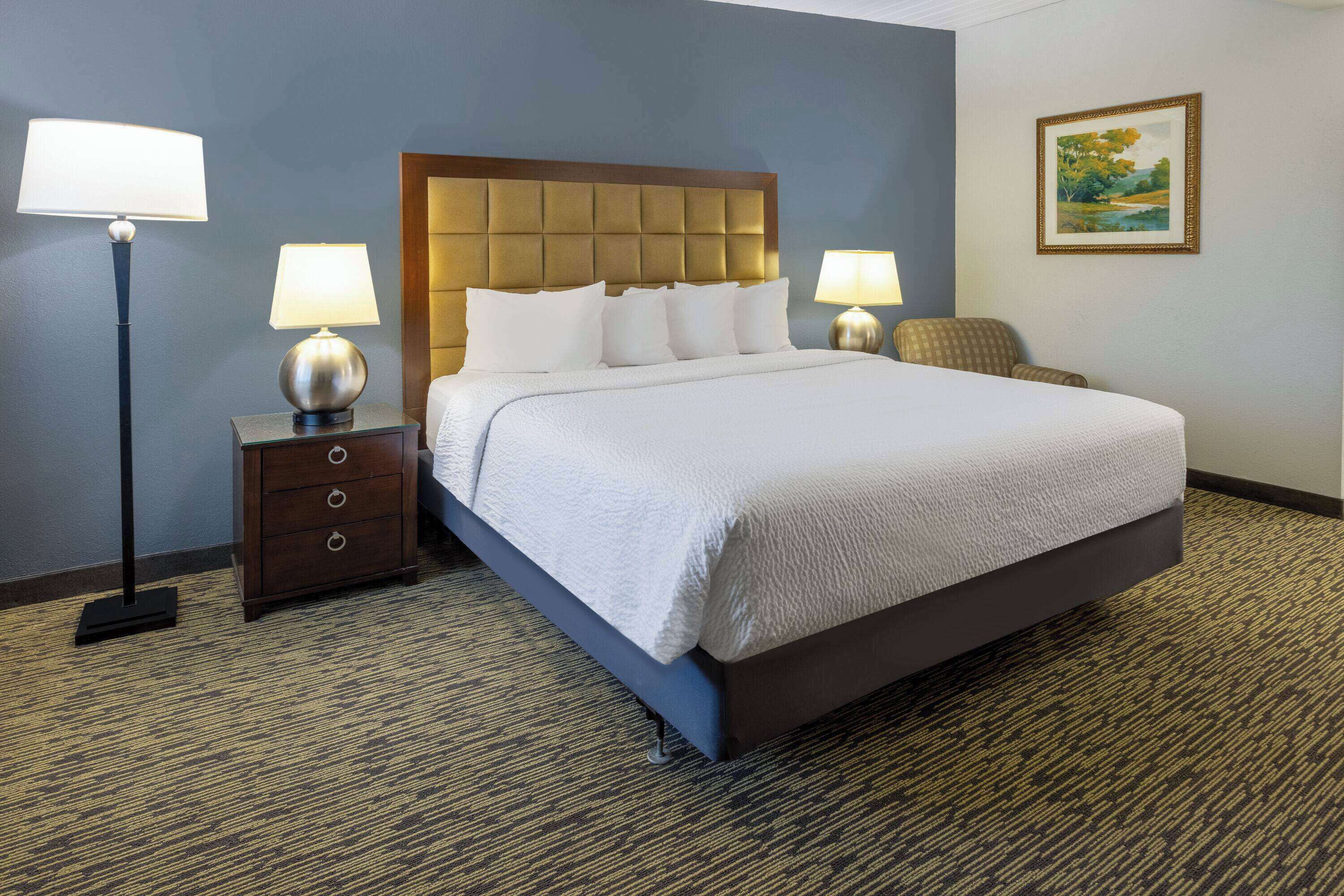 Rum - 1 kingsize-säng - icke-rökare | Skrivbord, mörkläggningsgardiner, strykjärn/strykbräda och extrasängar