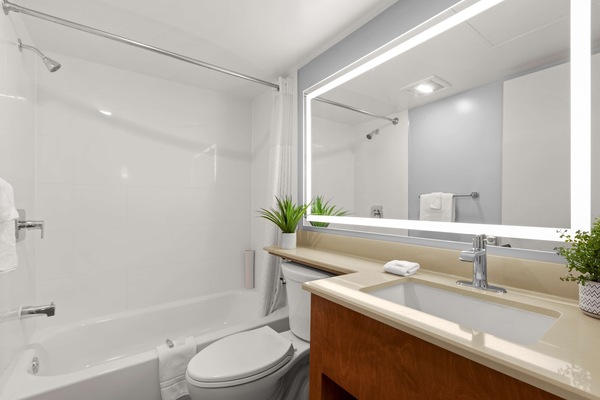 Combined shower/tub, free toiletries, hair dryer, towels