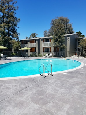 Outdoor pool, open 7:00 AM to 9:00 PM, pool umbrellas, sun loungers