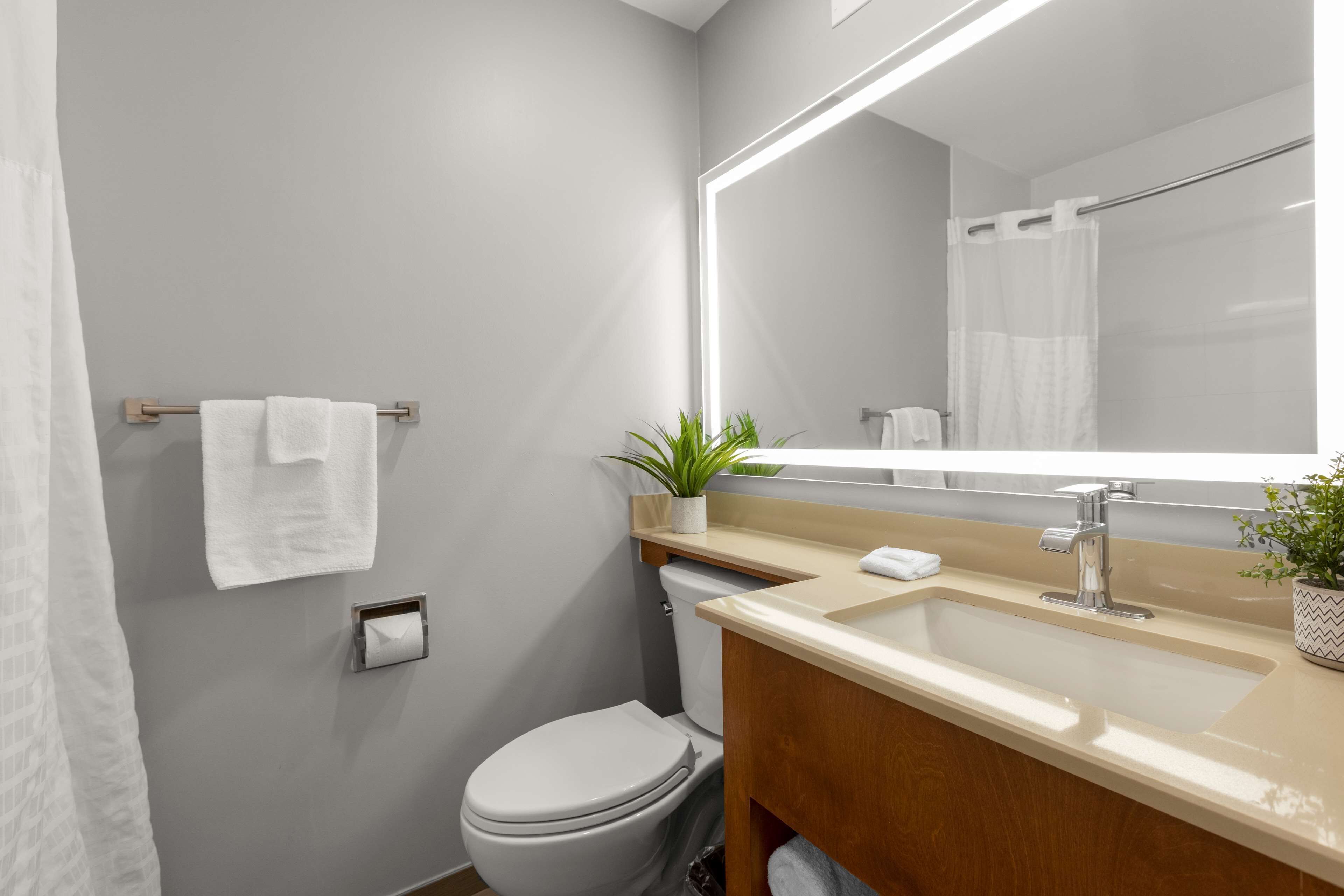 combined shower/bathtub, free toiletries, hair dryer, towels