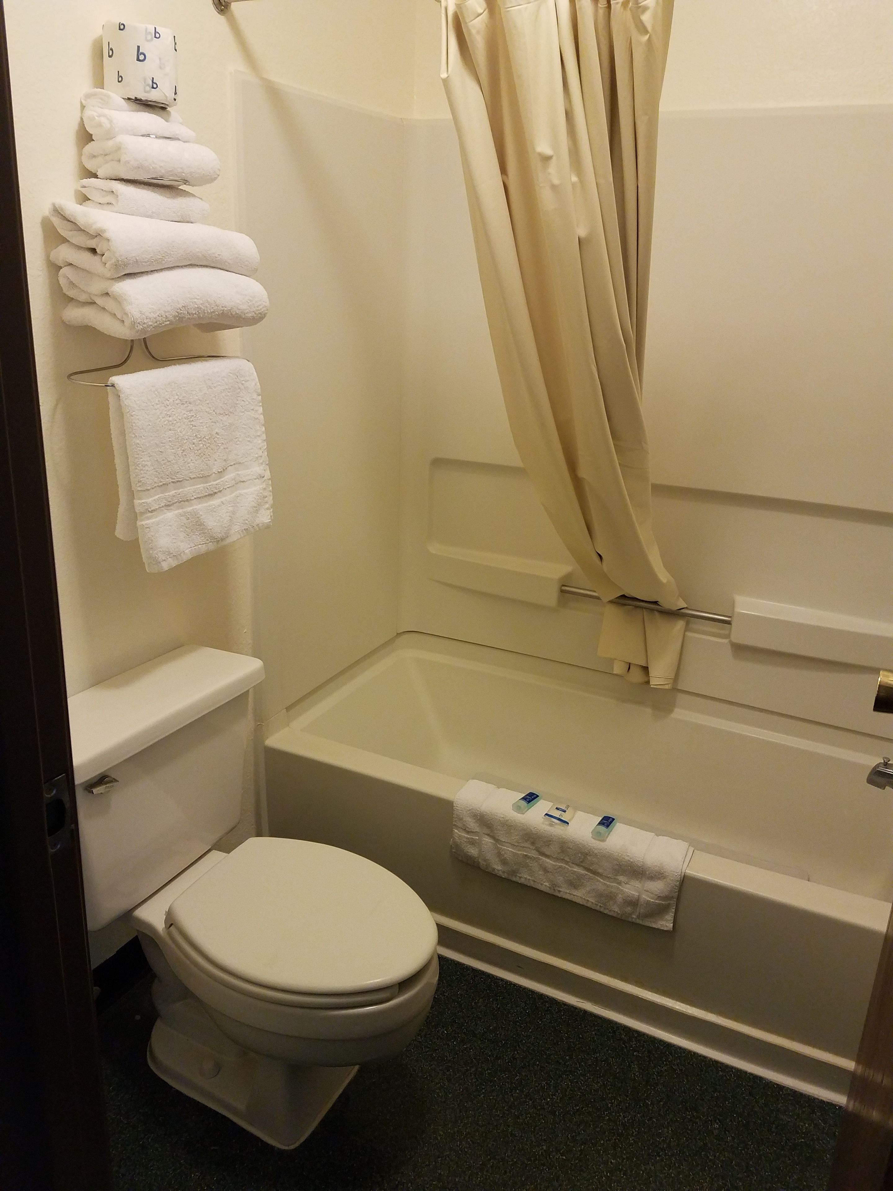A bathroom with a toilet, a bathtub, and a shower curtain.