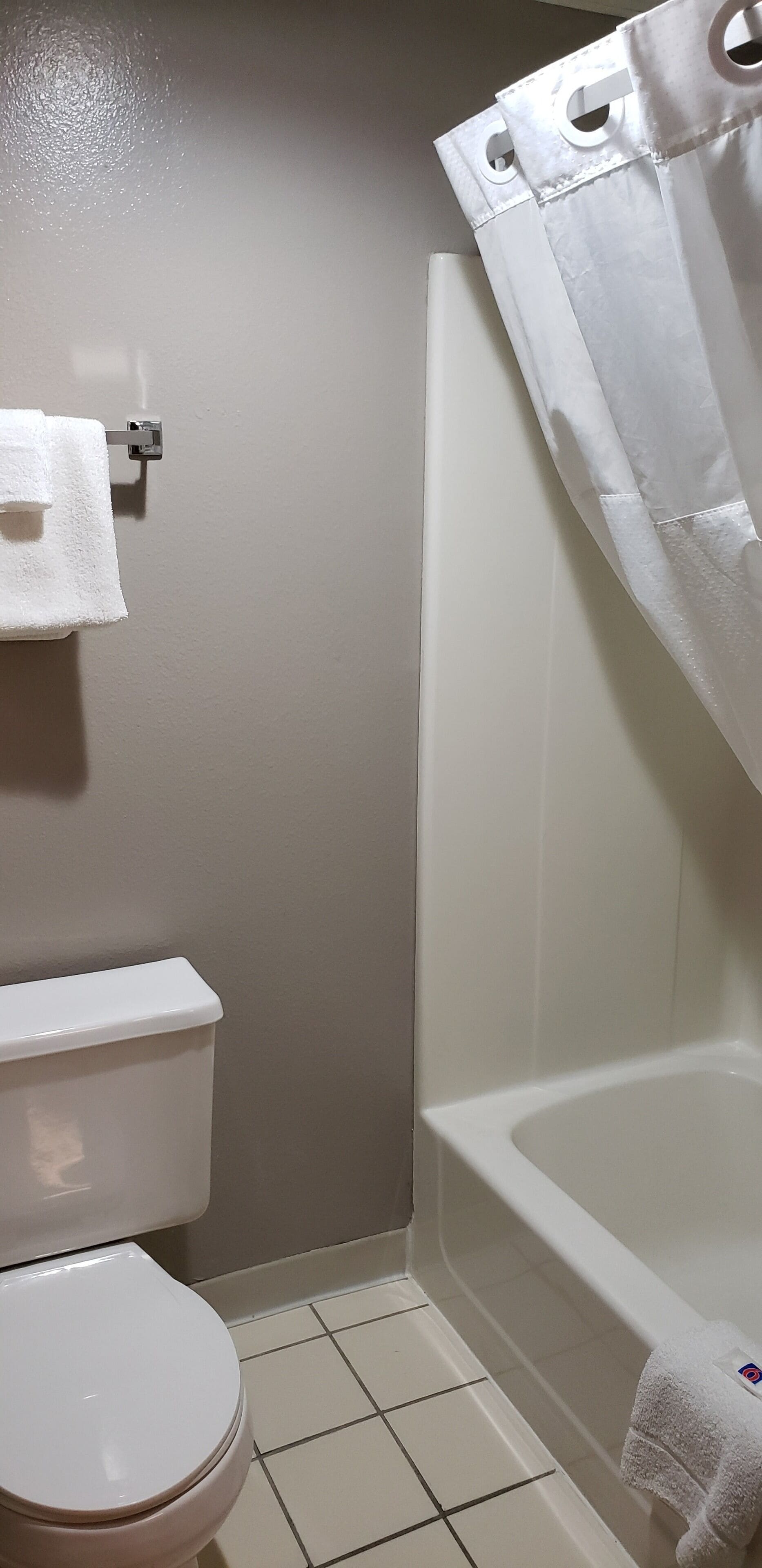 A bathroom with a toilet, a bathtub, and a shower curtain.