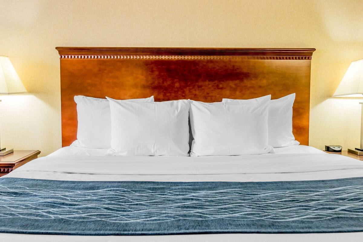 A hotel room with a large bed, white bedding, a blue patterned rug, and two bedside lamps.