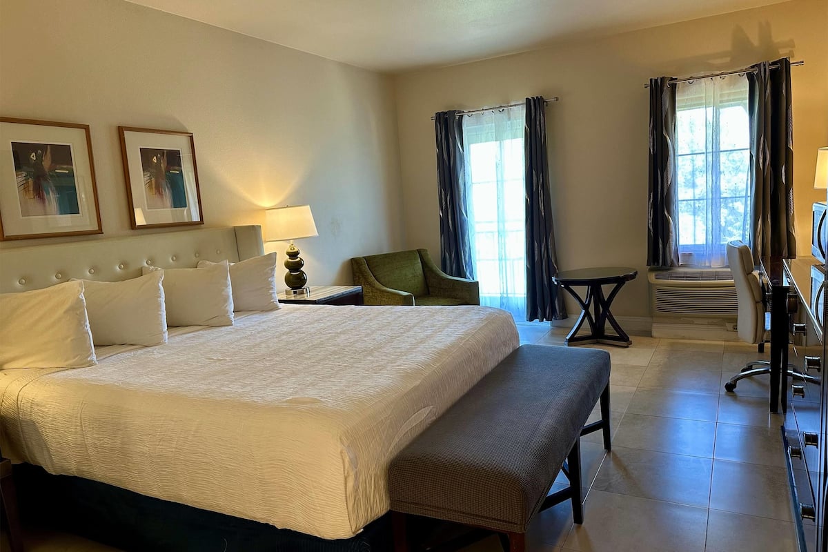 Premier Room, 1 King Bed, Non Smoking | Desk, laptop workspace, blackout curtains, iron/ironing board