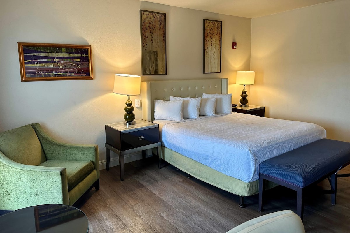Deluxe Room, 1 King Bed, Non Smoking | Desk, laptop workspace, blackout curtains, iron/ironing board