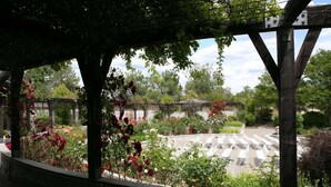A garden area with a pergola structure, surrounded by various plants and flowers. - Rocklin Park Hotel, Trademark Collection by Wyndham (Rocklin)