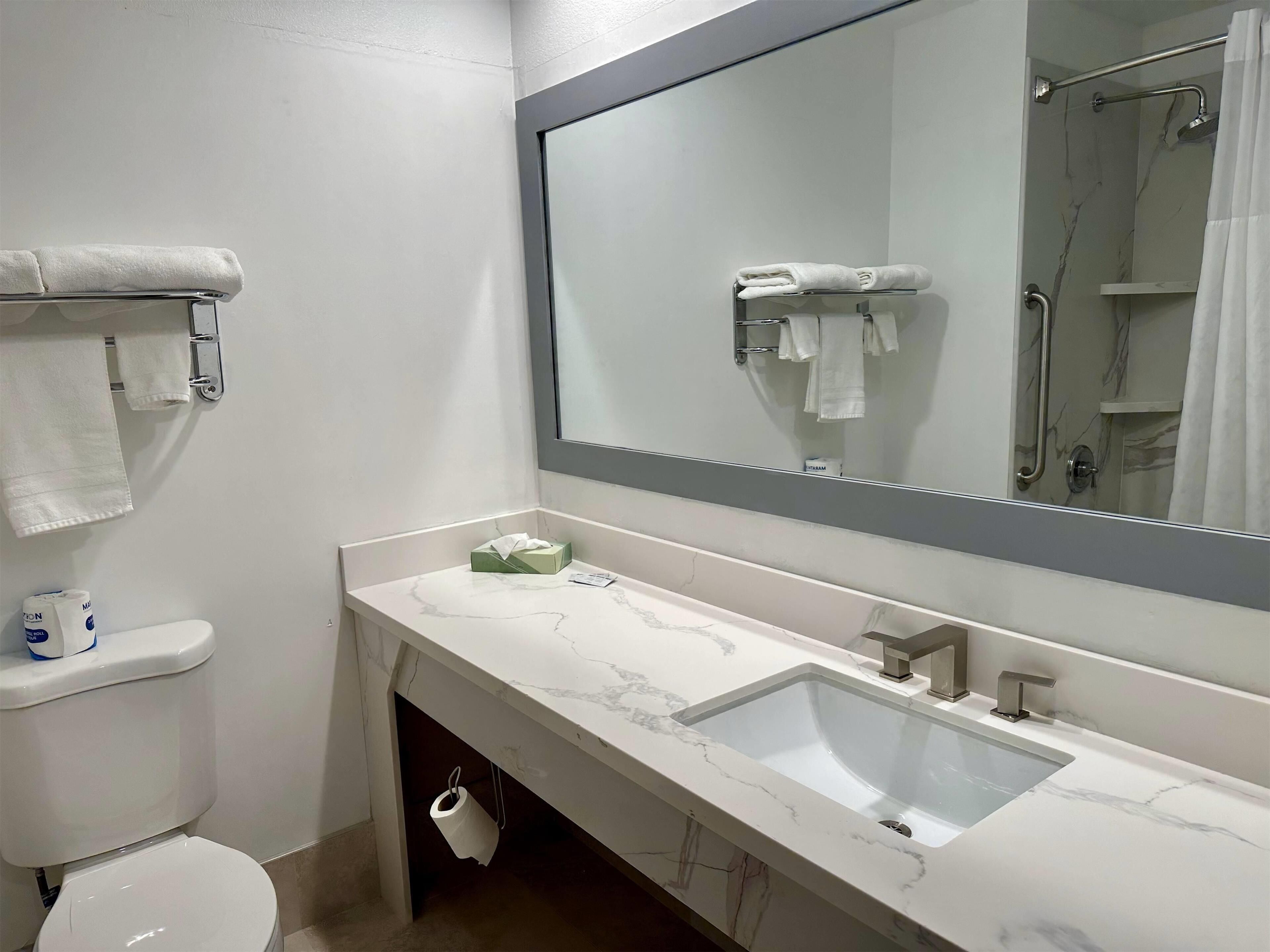 Ein modernes Badezimmer mit Marmorwaschbecken, Toilette und großem Spiegel.