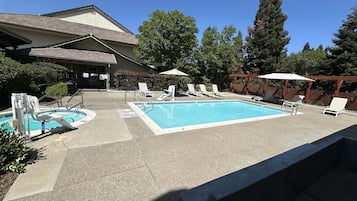 Outdoor pool, sun loungers