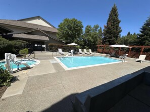 Outdoor pool, sun loungers