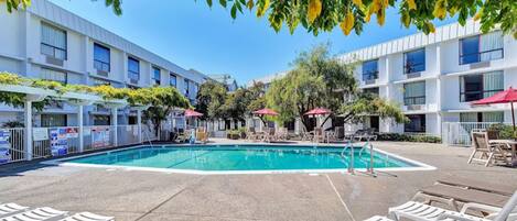 Outdoor pool, open 9:00 AM to 9:00 PM, pool umbrellas, pool loungers