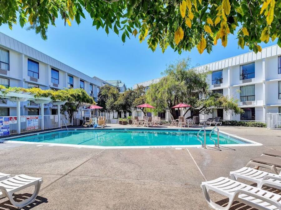 Outdoor pool, open 9:00 AM to 9:00 PM, pool umbrellas, pool loungers