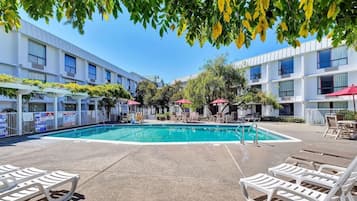 Una piscina al aire libre (de 09:00 a 21:00), sombrillas, tumbonas