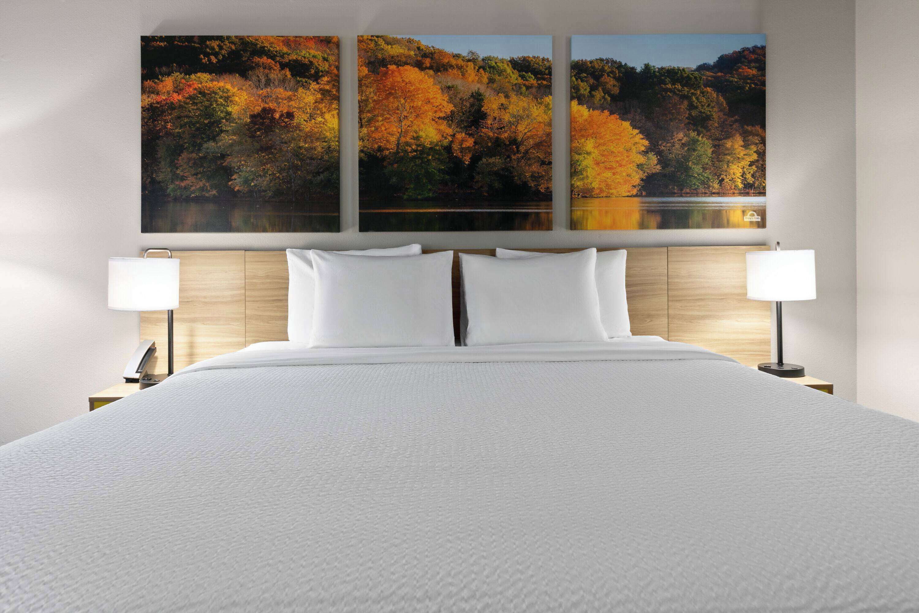 Kamer, 1 kingsize bed, niet-roken | Donsdekens, pillowtop-bedden, een bureau, een laptopwerkplek