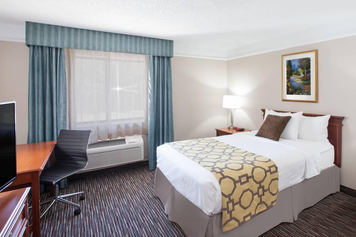 Una habitación de hotel con una cama, un escritorio con silla, un televisor, una lámpara y un cuadro en la pared.