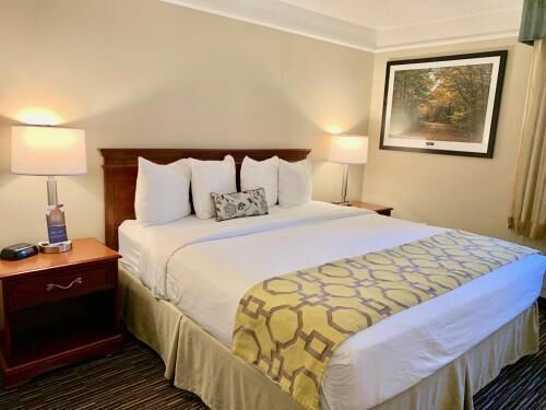 Premium bedding, desk, iron/ironing board, free cots/infant beds