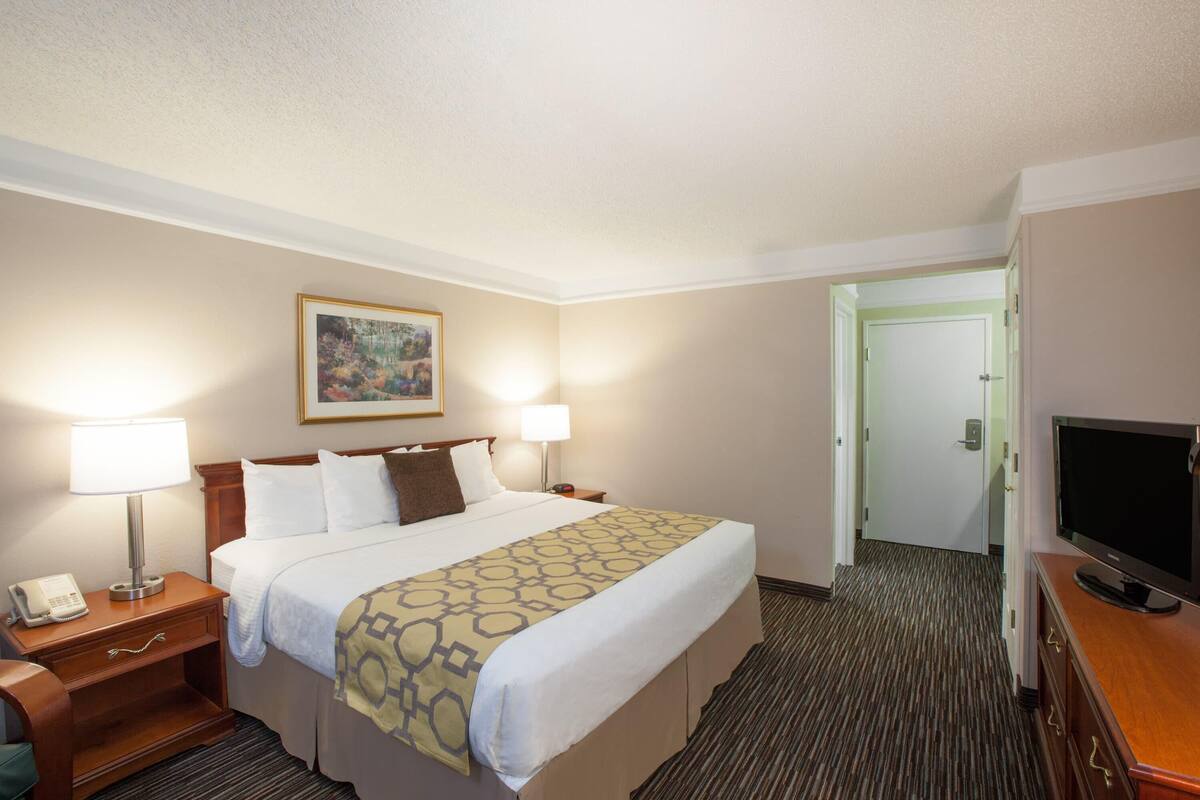 Una habitación de hotel con una cama, lámparas de noche, un televisor, un cuadro en la pared y una puerta que da a otra habitación.