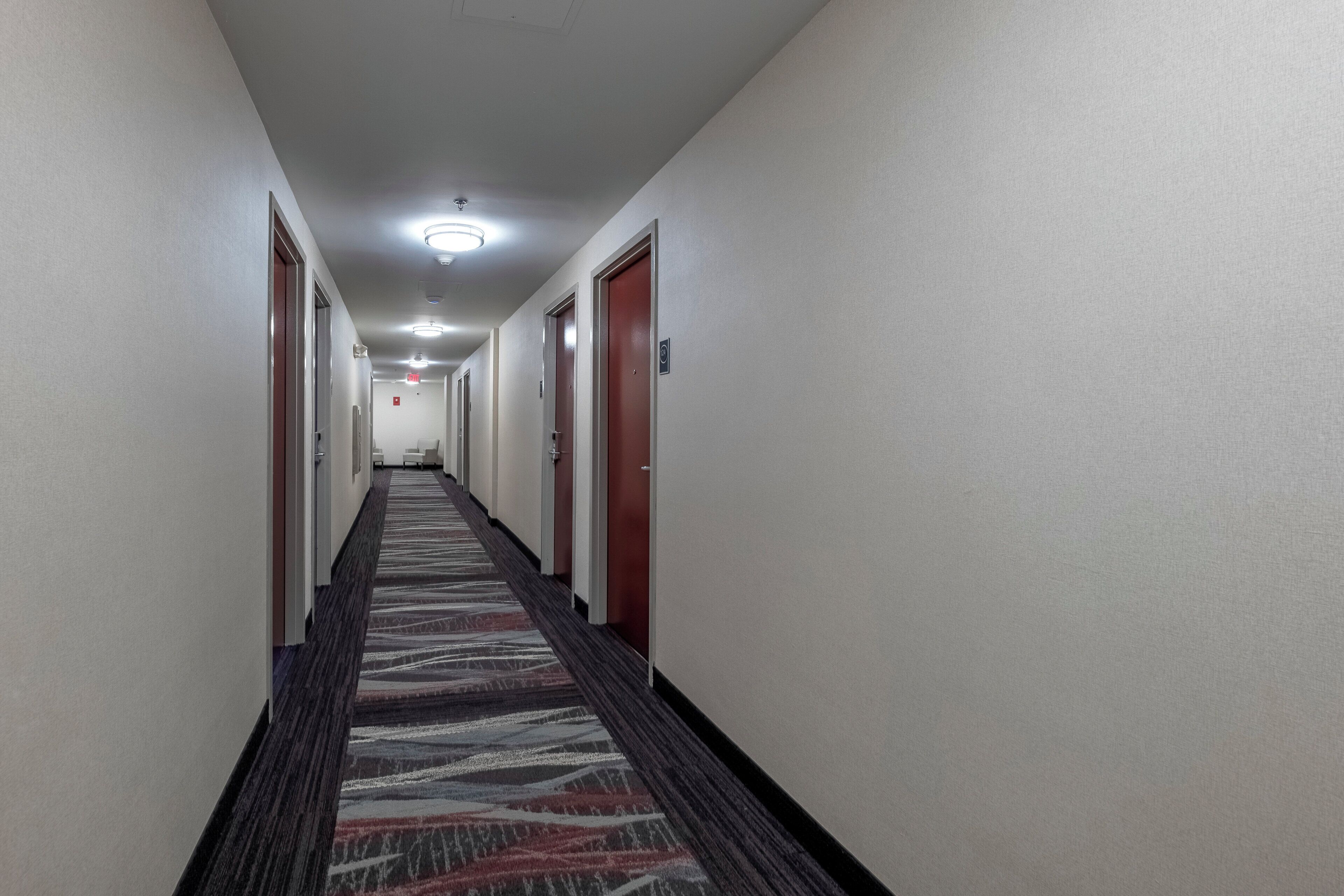 A hotel hallway with carpeted floors, doors on both sides, and overhead lighting.