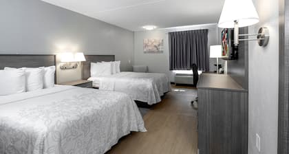 Red Roof Inn PLUS+ Boston - Mansfield/ Foxboro