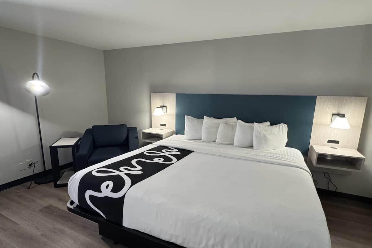 Room, 1 King Bed, Non Smoking | Premium bedding, pillowtop beds, desk, laptop workspace