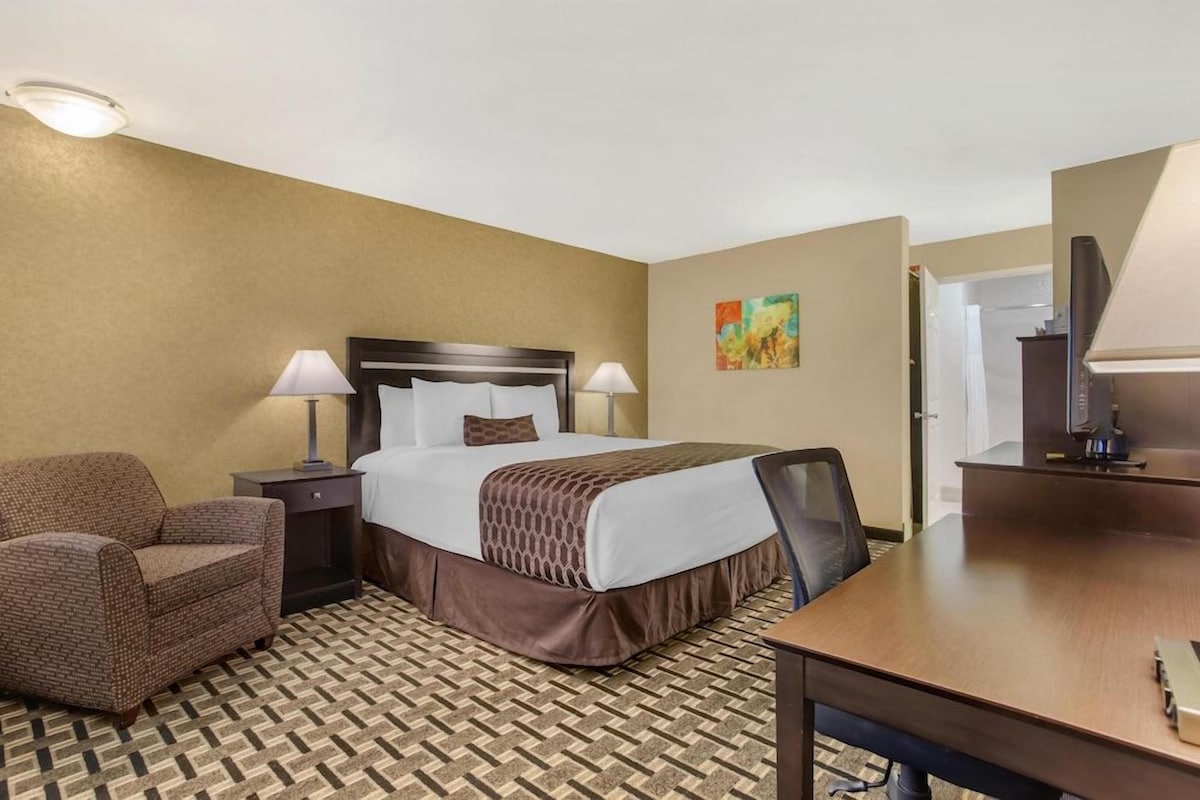 A hotel room with a bed, a chair, a desk, and a lamp.