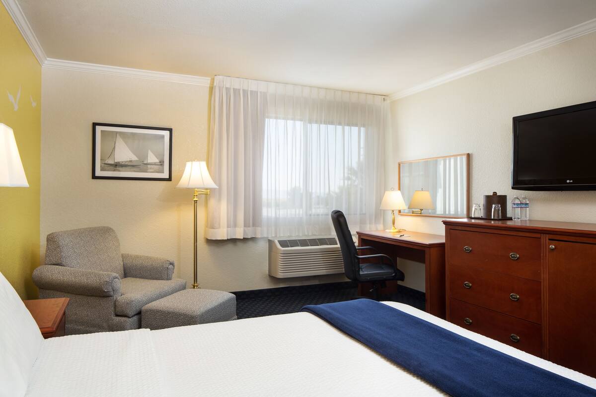 A hotel room with a bed, a desk, a chair, a dresser, a TV, and a window with curtains.