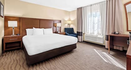 Comfort Inn Modesto