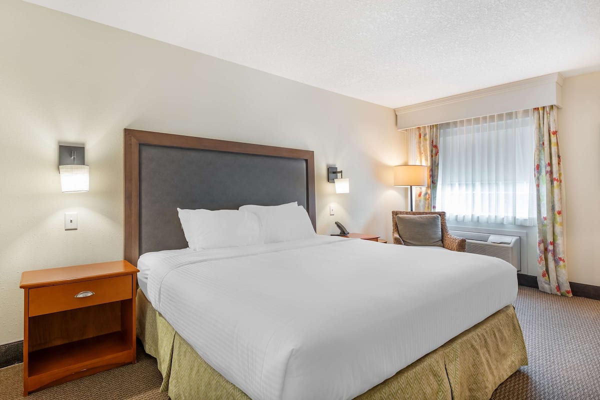 Standard Room, 1 King Bed, Accessible, Bathtub