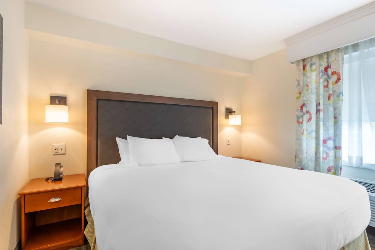 Executive Suite, 1 King Bed, Non Smoking, Refrigerator & Microwave (with Sofabed)