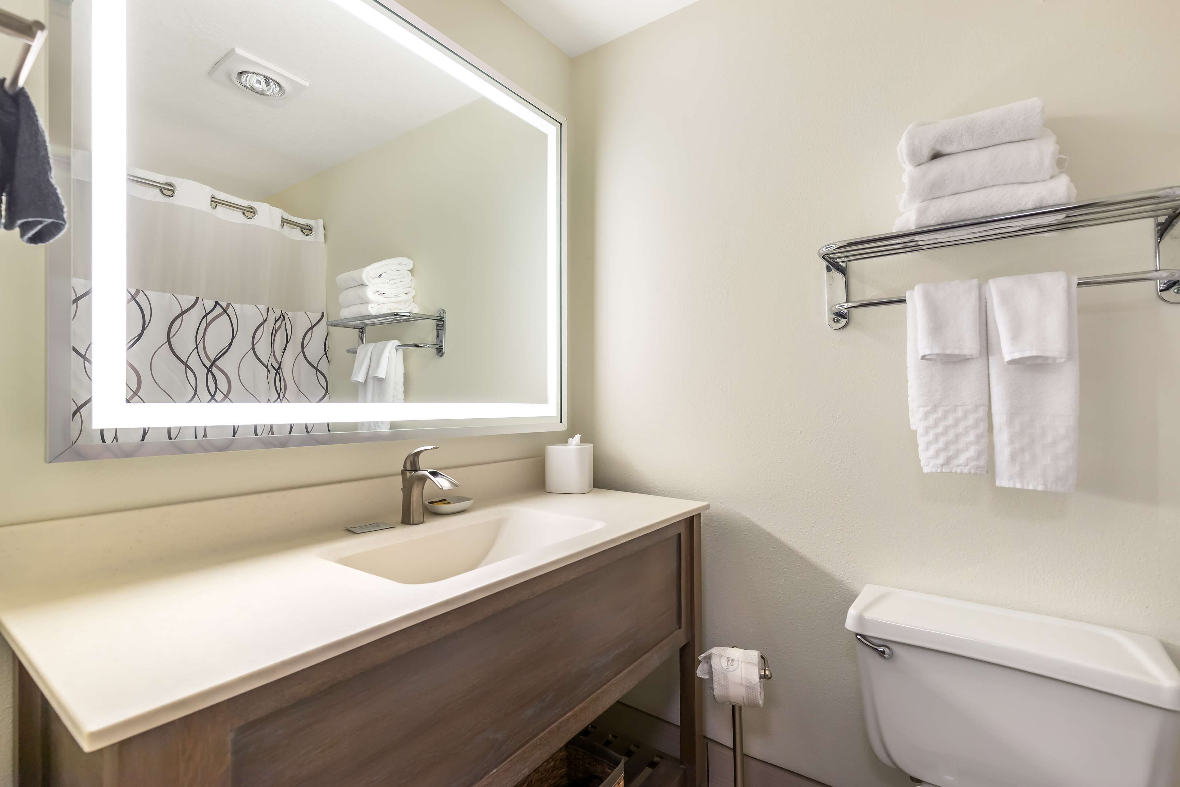 suite, 1 king bed, non smoking, refrigerator & microwave (with sofabed) | bathroom | combined shower/bathtub, hair dryer, towels