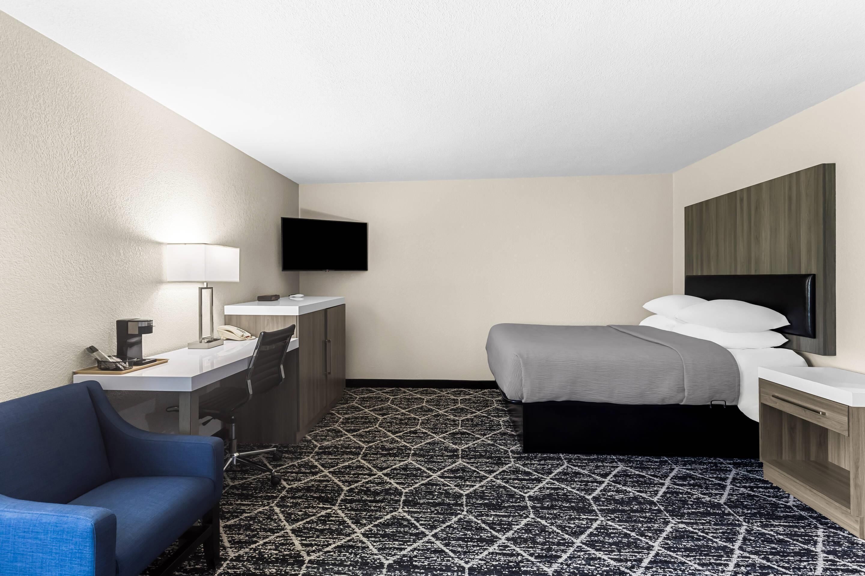 A hotel room with a bed, a desk with a lamp, a chair, a TV, and a patterned carpet.