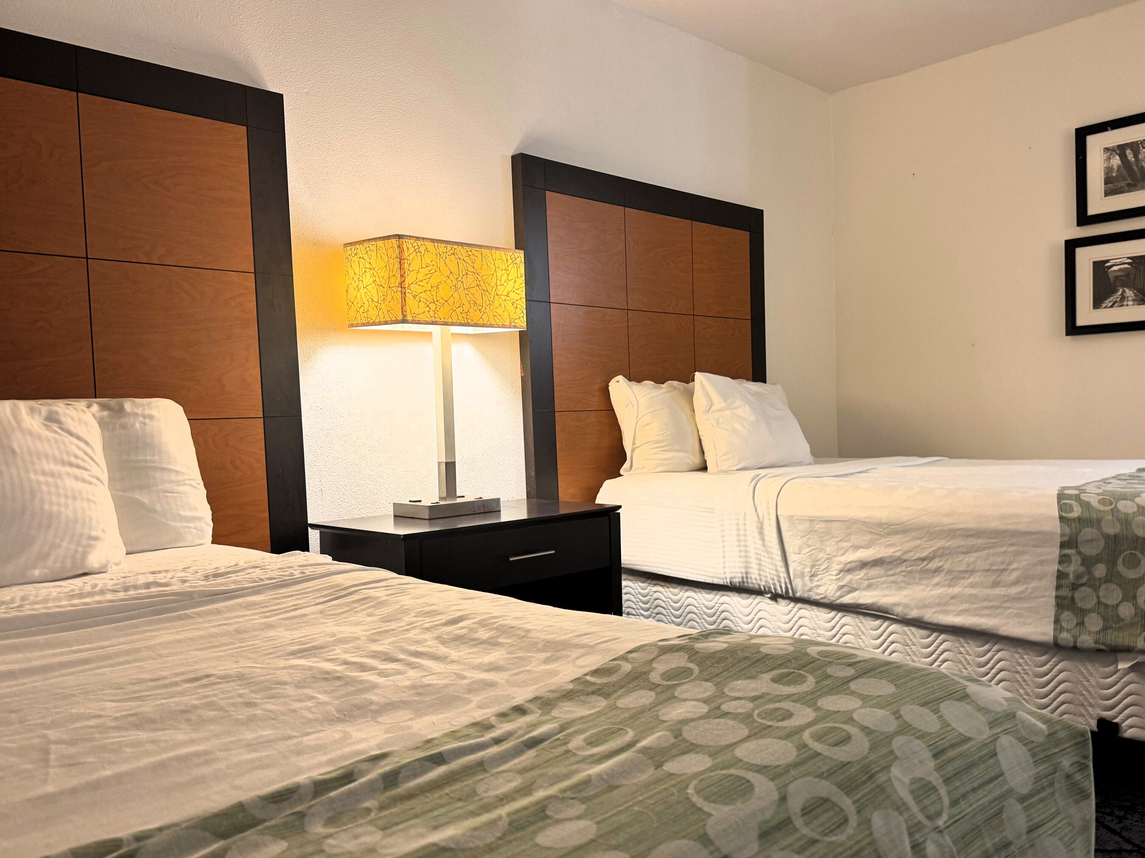 Quarto de hotel com duas camas, uma mesa de cabeceira, uma luminária e um quadro na parede.