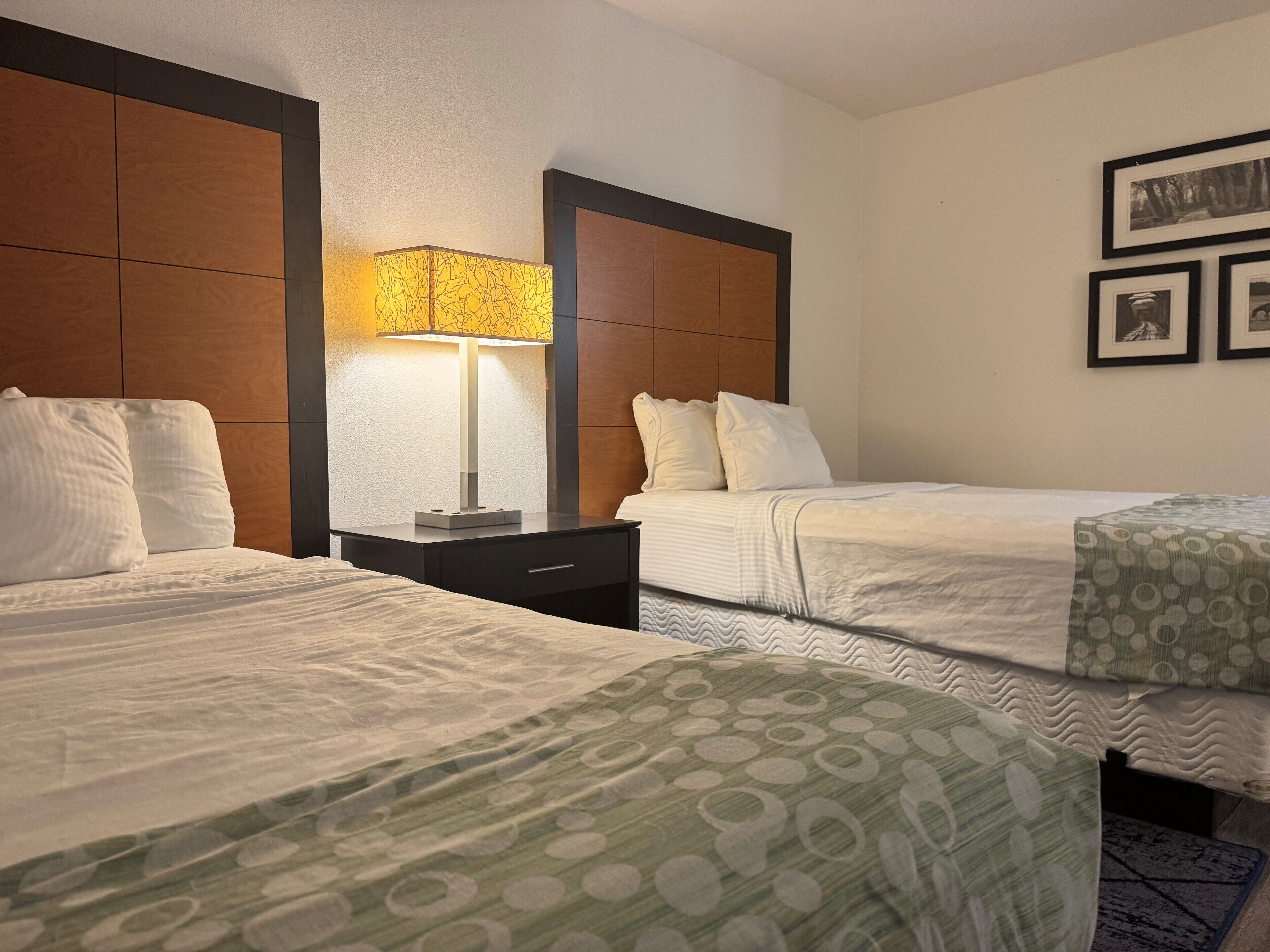 Habitación de hotel con dos camas, una mesita de noche con lámpara, cómoda y cuadros en la pared.