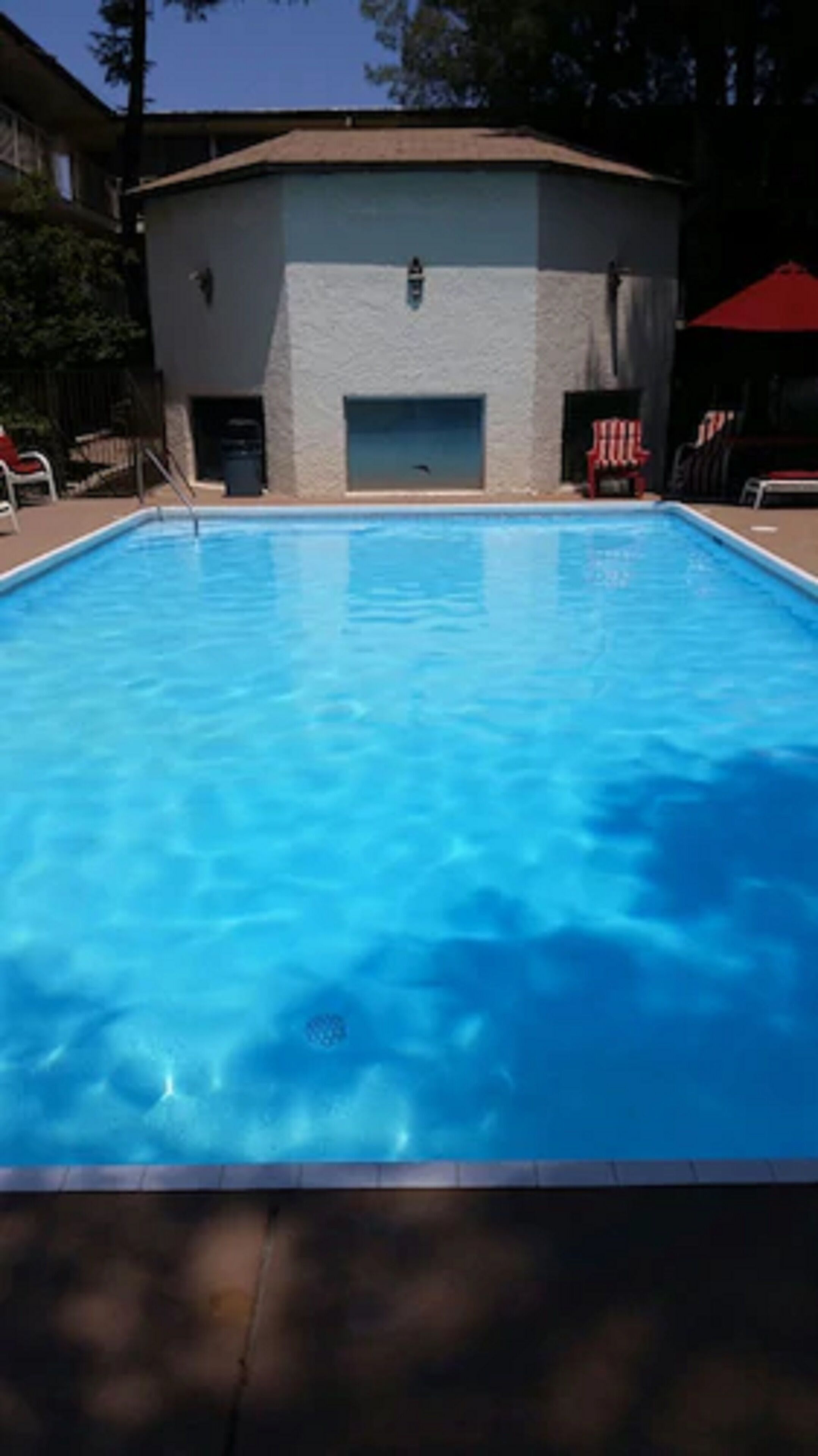 Kauden mukainen ulkouima-allas, aurinkovarjoja, aurinkotuoleja