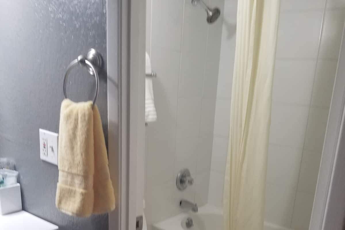 Combined shower/tub, free toiletries, hair dryer, towels