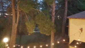 A courtyard with trees, a fence, and string lights. - Mariposa Hotel (Nogales)