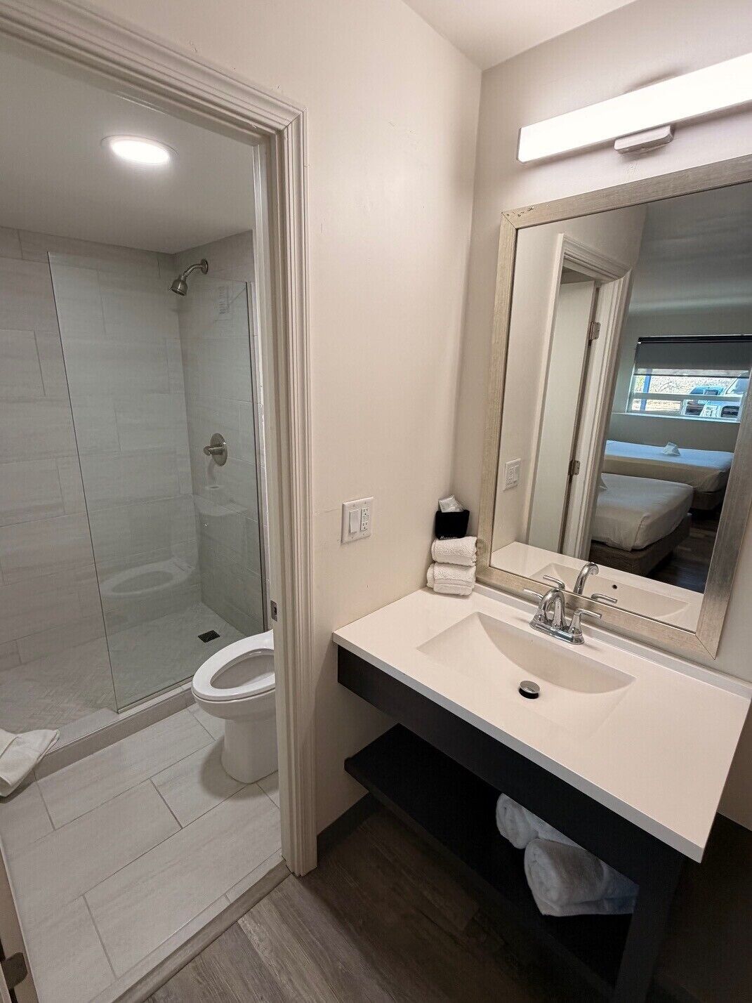 A modern bathroom with a glass shower enclosure, a toilet, a sink with a mirror, and a towel rack.
