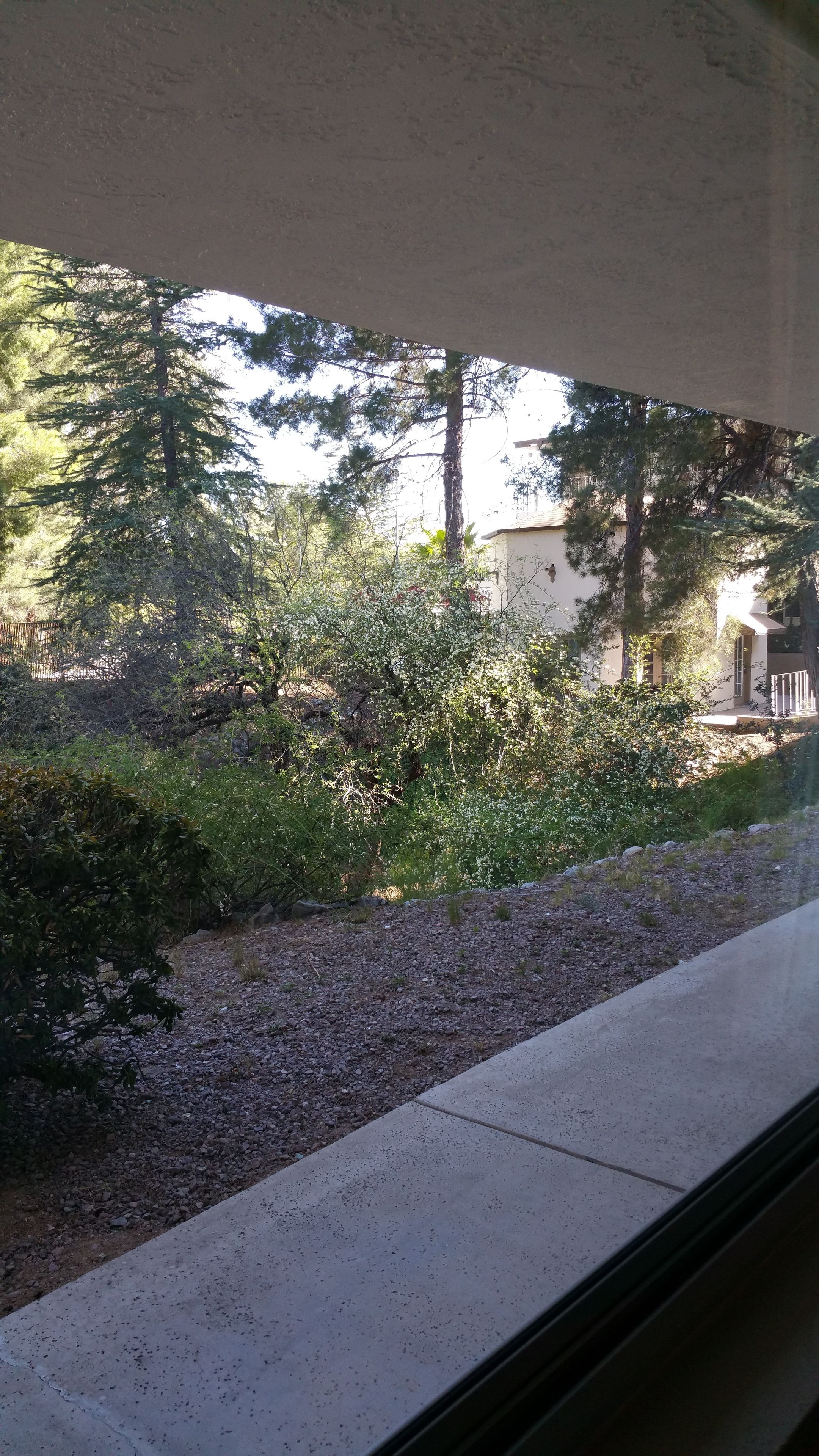 Vista desde la propiedad