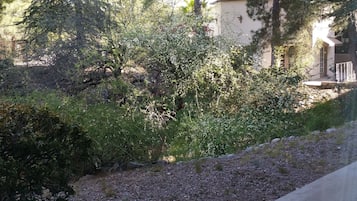 Vista desde la propiedad