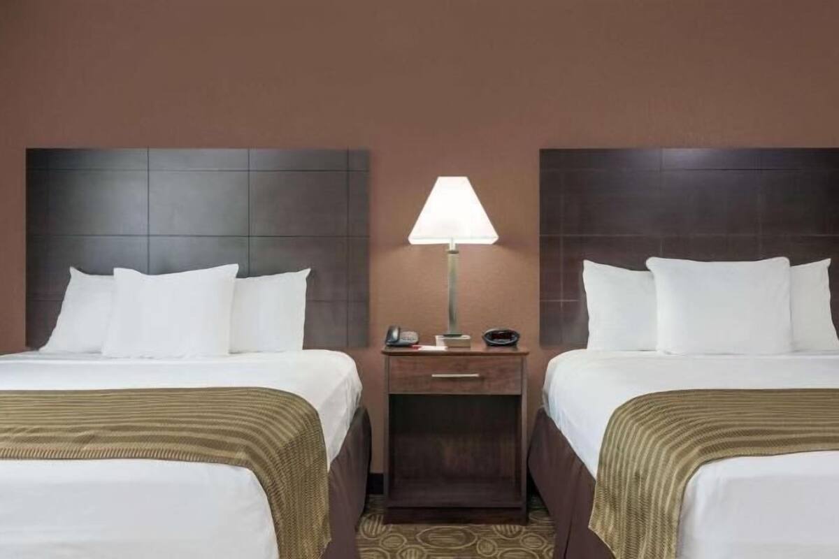Une chambre d’hôtel avec deux lits, une table de chevet avec une lampe et une moquette à motifs.