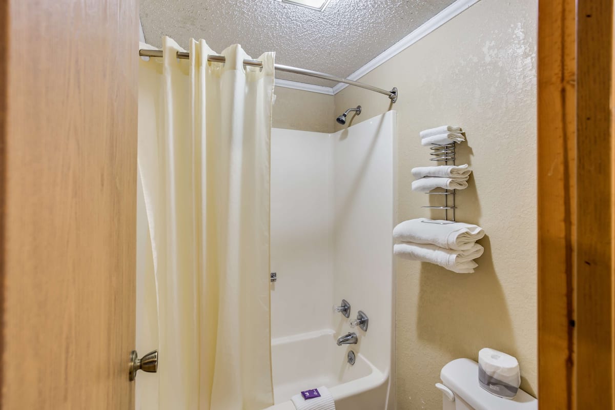 Badkar/dusch, gratis toalettartiklar och handdukar