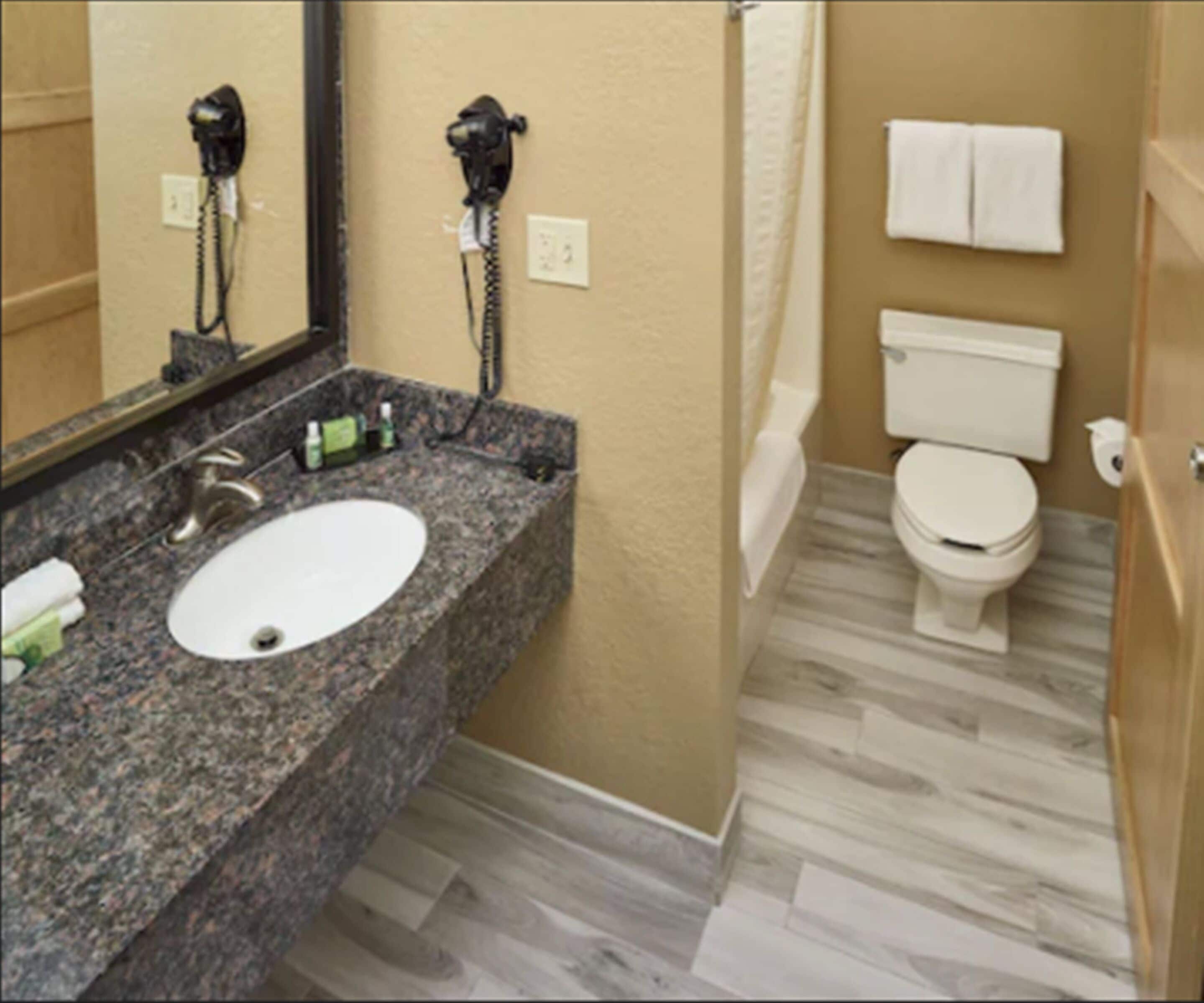 combined shower/bathtub, free toiletries, hair dryer, towels